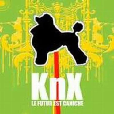 Le futur est caniche