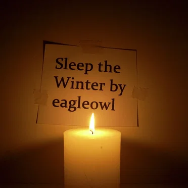 Sleep the Winter by Eagleowl - album cover