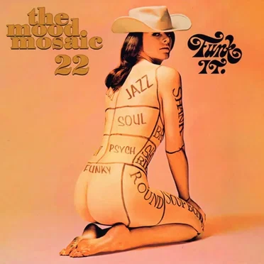The Mood Mosaic 22: Funk It. by Various Artists - album cover