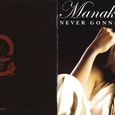 NEVER GONNA LET YOU GO