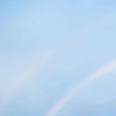 SEEIN’ STARS / BIRDS