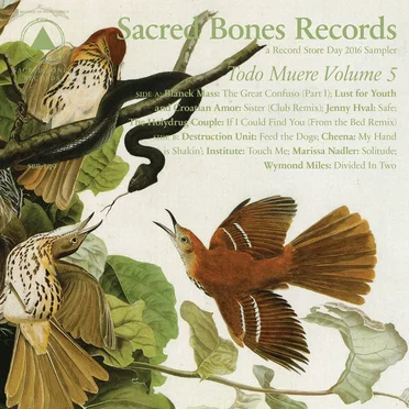Todo Muere Volume 5 by Various Artists - album cover