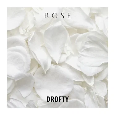 Rose by Drofty - album cover