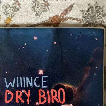 Dry Biro by Wiiince - album cover