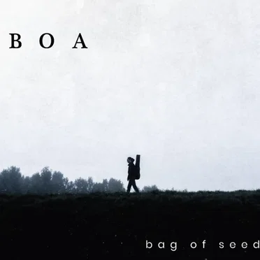 Bag of Seeds by BOA - album cover