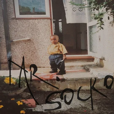 Mr. Socko by Oogie - album cover