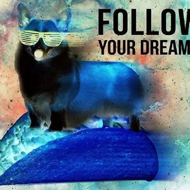Follow Your Dreams