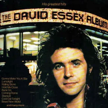 The David Essex Album