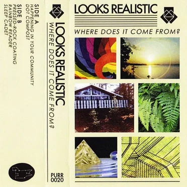 Where Does It Come From? by Looks Realistic - album cover