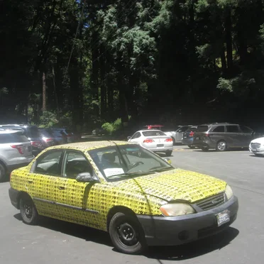 Mystery Spot (Still a Mystery Since We Couldn't Get in)