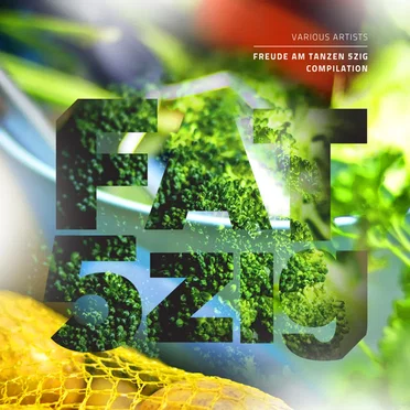 Freude am Tanzen 5zig Compilation by Various Artists - album cover