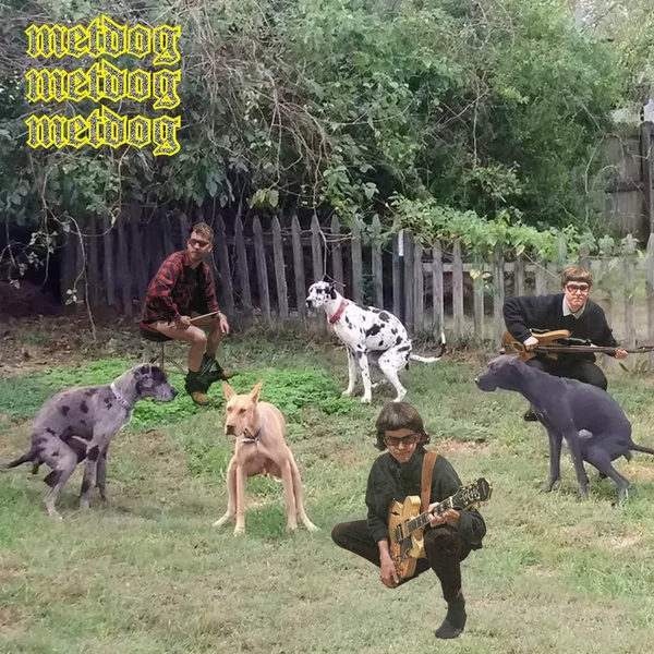 metdog