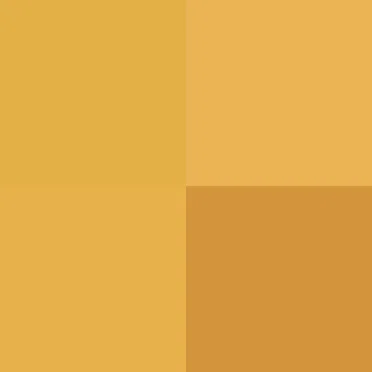 #!/for/frie