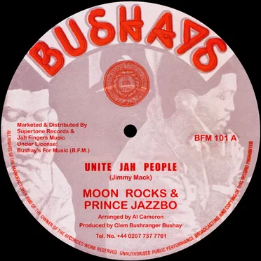Unite Jah People / Have No Fear