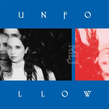 Unfollow by Mr Little Jeans - album cover