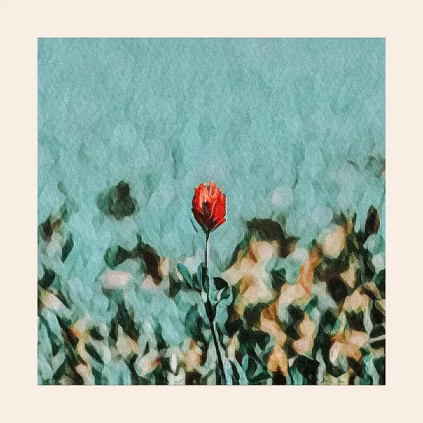 Turn Your Eyes