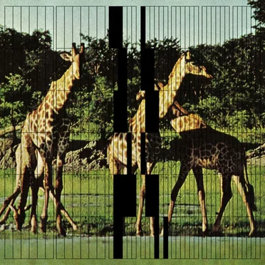 Dance Classics, Volume II