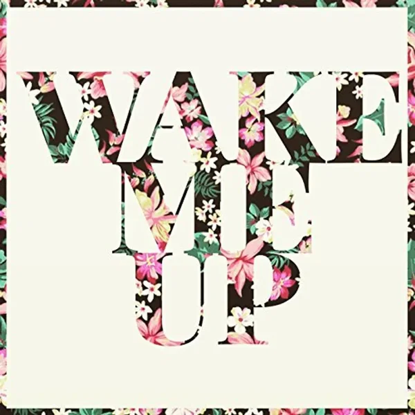 Wake Me Up