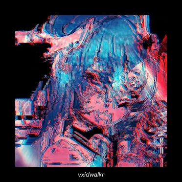 digital reality by vxidwalkr - album cover