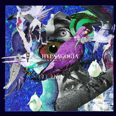 Hypnagogia by Travis Duo - album cover