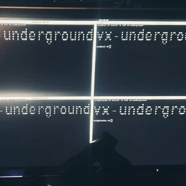 vxug.fakedoma.in