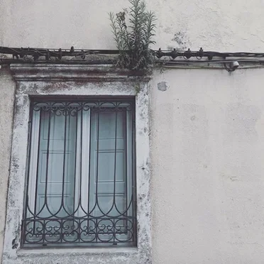 Borderlands and Nevada