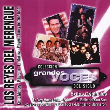 Colección grandes voces del siglo: Los reyes del merengue by Various Artists - album cover