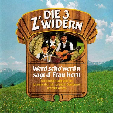 Wird scho werd'n, sagt d' Frau Kern by Die 3 Z’widern - album cover