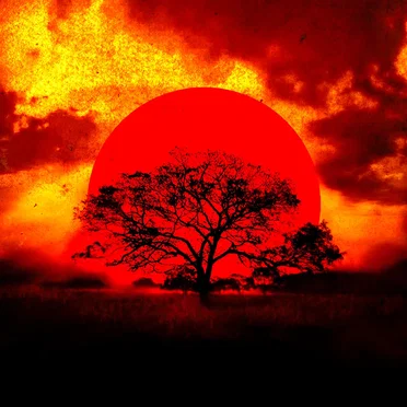 In the Sunset