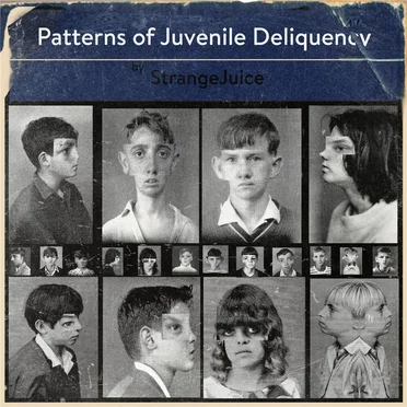 Patterns of Juvenile Delinquency