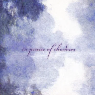 In Praise of Shadows