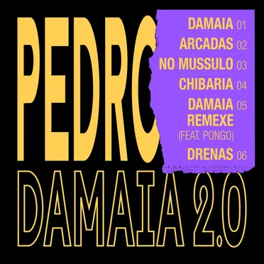 Damaia 2.0 by Pedro - album cover