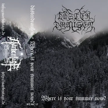 Where Is Your Summer Now? by Düsterdraußen - album cover