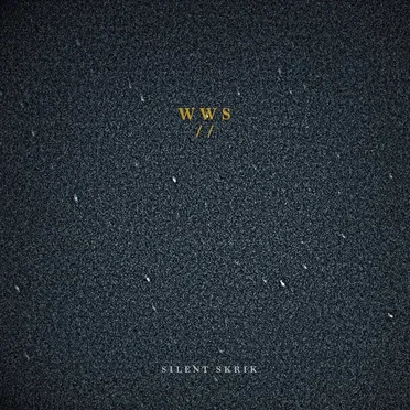 Silent Skrik by Waterwalls - album cover