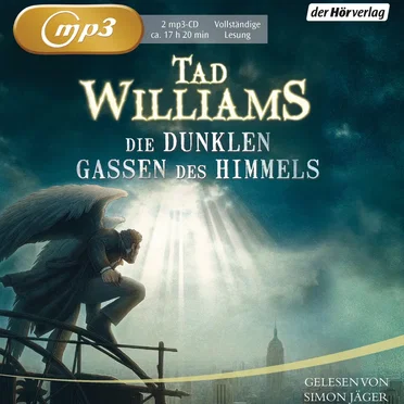 Die dunklen Gassen des Himmels by Tad Williams - album cover