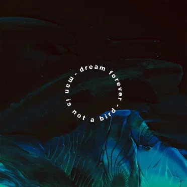Dream Forever by Man Is Not a Bird - album cover