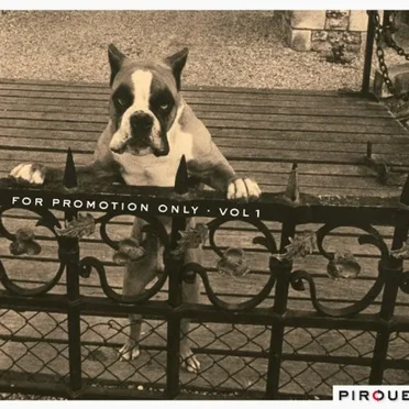 Pirouet Records: For Promotion Only, Volume 1
