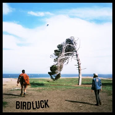 Demos 2016 by Birdluck - album cover