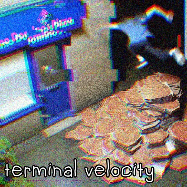 terminal velocity