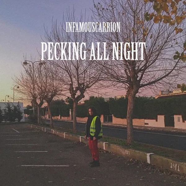 Pecking All Night