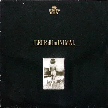 fLEUR dU mINIMAL by Fleur Du Minimal - album cover