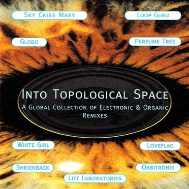 Into Topological Space: A Global Collection of Electronic & Organic Remixes by Various Artists - album cover