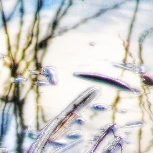 Cirrus