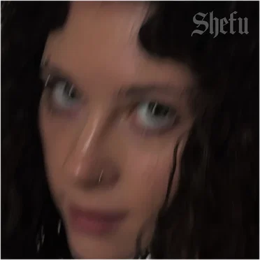 Shefu