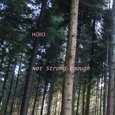 Not Strong Enough by Hollo - album cover
