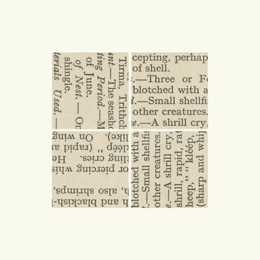 Verse of Birds