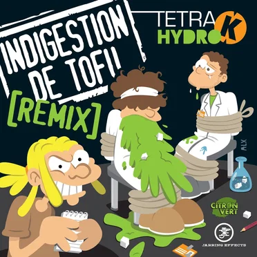 Indigestion de Tofu - Remix