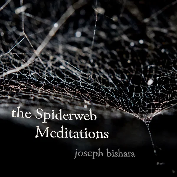 The Spiderweb Meditations