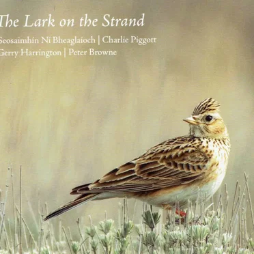 The Lark on the Strand