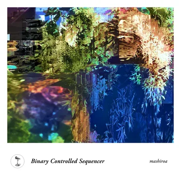 Binary Controlled Sequencer